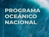 SUBSECRETARÍA DE DEFENSA PARTICIPA EN REUNIÓN DEL CONSEJO DE MINISTROS PARA EL DESARROLLO DE LA POLÍTICA OCEÁNICA